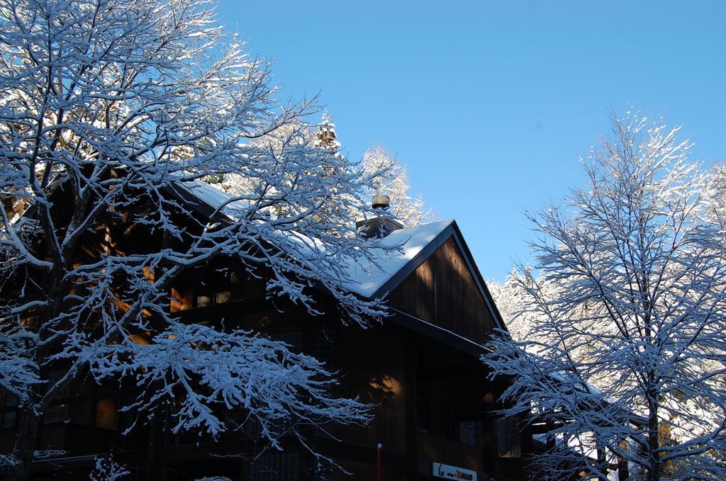 Il Bosco Villa Hakuba Exterior photo