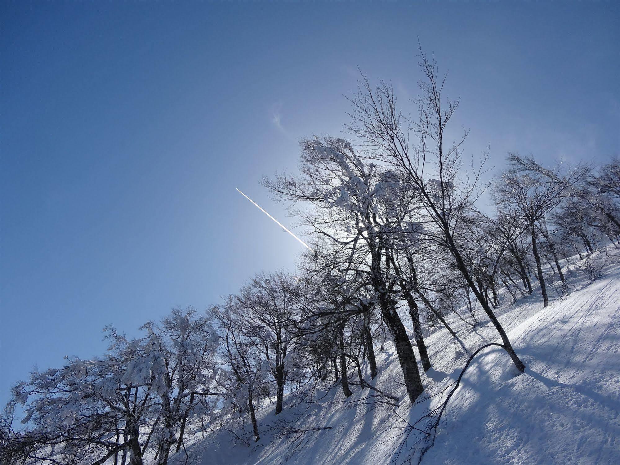 Il Bosco Villa Hakuba Exterior photo